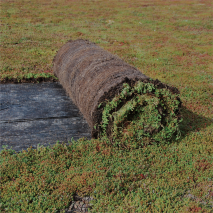 PlantMJates_plantmatten-693×693-c-default