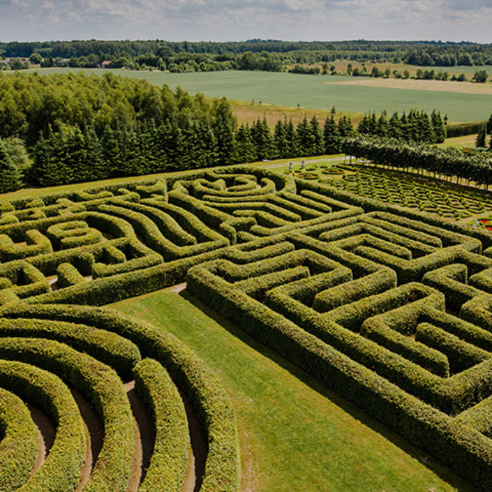 hedgingPlants_haagplanten-693×693-c-default